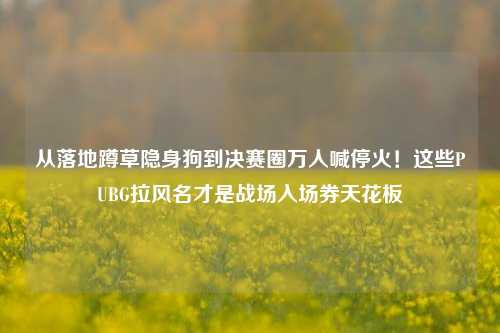 从落地蹲草隐身狗到决赛圈万人喊停火!这些PUBG拉风名才是战场入场券天花板