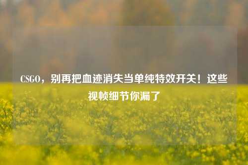 CSGO,别再把血迹消失当单纯特效开关!这些视帧细节你漏了