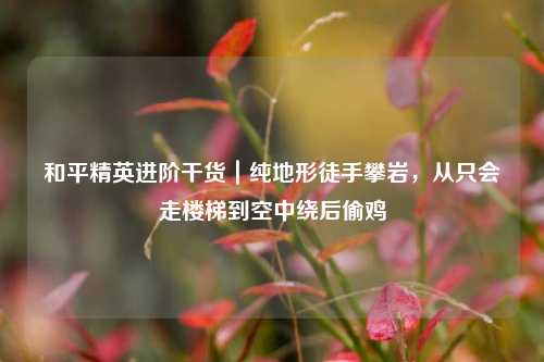 和平精英进阶干货|纯地形徒手攀岩,从只会走楼梯到空中绕后偷鸡