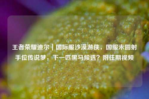 王者荣耀迪尔|国际服沙漠游侠,国服未圆射手位传说梦,下一匹黑马候选?附往期视频