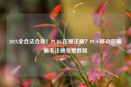 202X全合法合规!PUBG在哪注册?PC+移动双端新手注册完整教程
