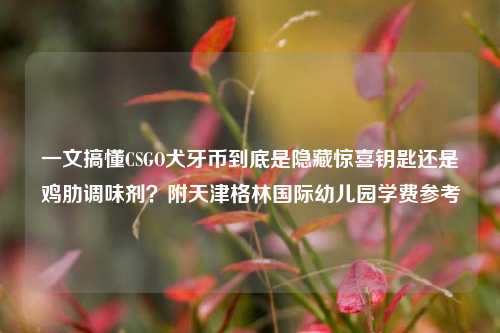一文搞懂CSGO犬牙币到底是隐藏惊喜钥匙还是鸡肋调味剂?附天津格林国际幼儿园学费参考