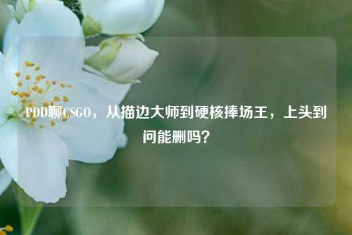 PDD聊CSGO,从描边大师到硬核捧场王,上头到问能删吗?