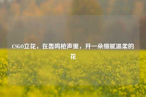 CSGO立花,在轰鸣枪声里,开一朵细腻温柔的花