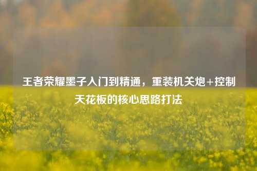 王者荣耀墨子入门到精通,重装机关炮+控制天花板的核心思路打法