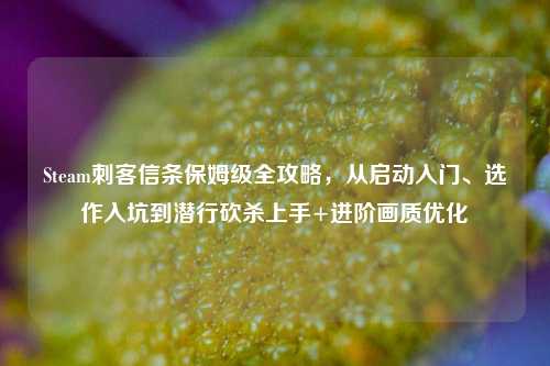 Steam刺客信条保姆级全攻略,从启动入门、选作入坑到潜行砍杀上手+进阶画质优化