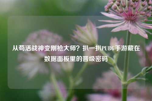 从苟活战神变刚枪大师?扒一扒PUBG手游藏在数据面板里的晋级密码