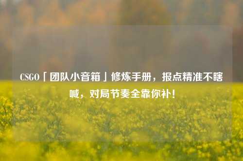 CSGO「团队小音箱」修炼手册,报点精准不瞎喊,对局节奏全靠你补!
