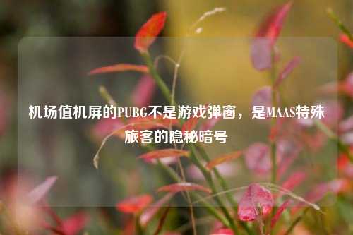 机场值机屏的PUBG不是游戏弹窗,是MAAS特殊旅客的隐秘暗号