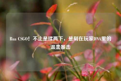 Rua CSGO!不止是揉两下,是刻在玩家DNA里的温柔暴击