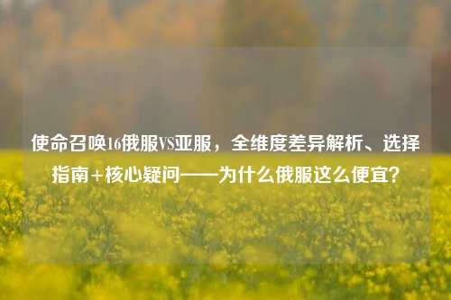 使命召唤16俄服VS亚服,全维度差异解析、选择指南+核心疑问——为什么俄服这么便宜?