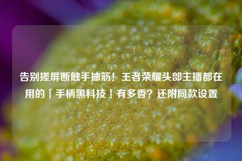 告别搓屏断触手抽筋！王者荣耀头部主播都在用的「手柄黑科技」有多香？还附同款设置