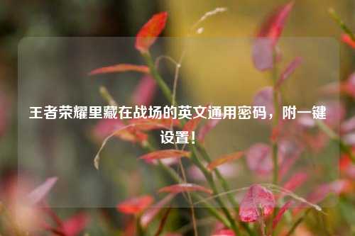 王者荣耀里藏在战场的英文通用密码,附一键设置!