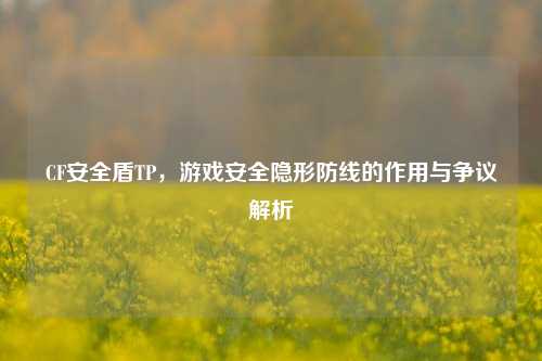 CF安全盾TP,游戏安全隐形防线的作用与争议解析