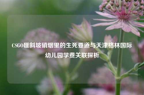 CSGO匪斜坡硝烟里的生死要道与天津格林国际幼儿园学费关联探析