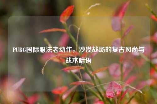 PUBG国际服法老动作,沙漠战场的复古风尚与战术暗语