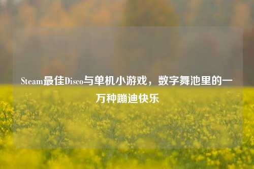 Steam最佳Disco与单机小游戏,数字舞池里的一万种蹦迪快乐