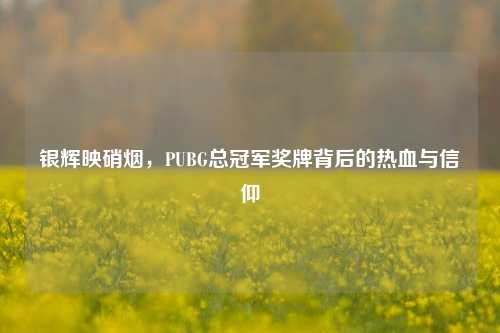 银辉映硝烟,PUBG总冠军奖牌背后的热血与信仰