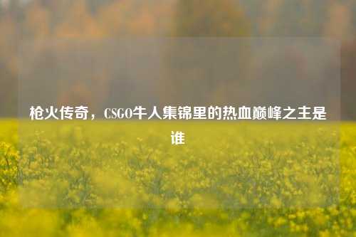 枪火传奇,CSGO牛人集锦里的热血巅峰之主是谁