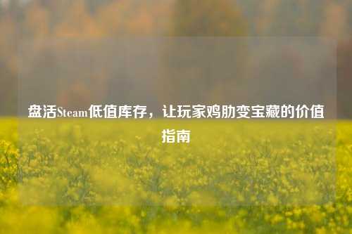 盘活Steam低值库存,让玩家鸡肋变宝藏的价值指南