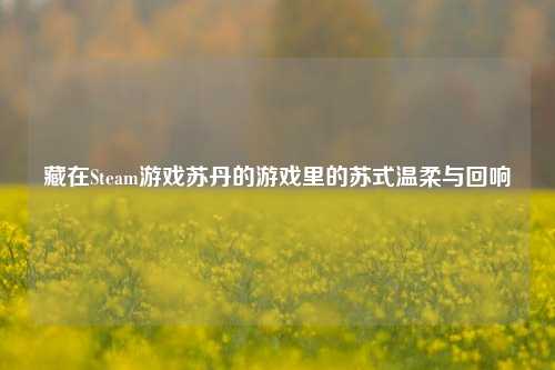 藏在Steam游戏苏丹的游戏里的苏式温柔与回响