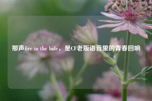 那声fire in the hole,是CF老版语音里的青春回响