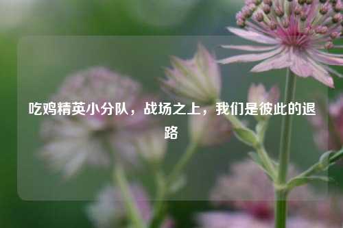 吃鸡精英小分队,战场之上,我们是彼此的退路