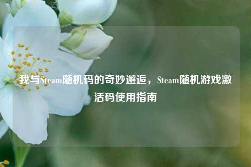 我与Steam随机码的奇妙邂逅,Steam随机游戏激活码使用指南