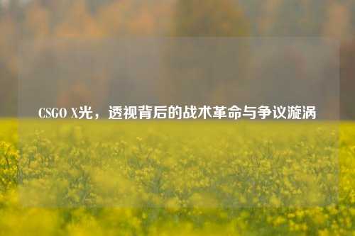 CSGO X光,透视背后的战术革命与争议漩涡