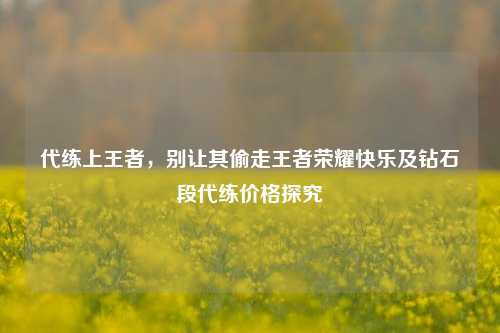 代练上王者,别让其偷走王者荣耀快乐及钻石段代练价格探究