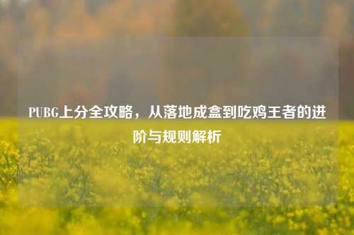 PUBG上分全攻略,从落地成盒到吃鸡王者的进阶与规则解析