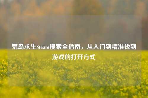 荒岛求生Steam搜索全指南,从入门到精准找到游戏的打开方式