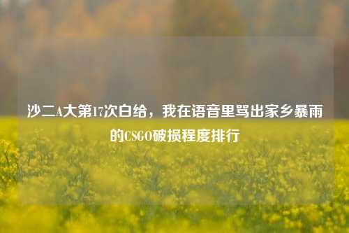 沙二A大第17次白给,我在语音里骂出家乡暴雨的CSGO破损程度排行