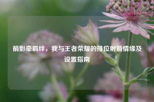箭影牵羁绊,我与王者荣耀的排位射箭情缘及设置指南
