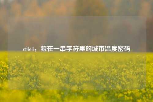cf4e4,藏在一串字符里的城市温度密码