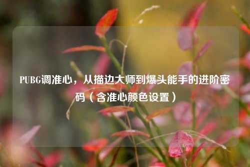 PUBG调准心,从描边大师到爆头能手的进阶密码(含准心颜色设置)