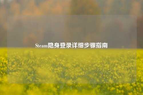 Steam隐身登录详细步骤指南