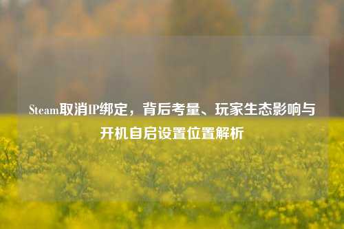 Steam取消IP绑定,背后考量、玩家生态影响与开机自启设置位置解析