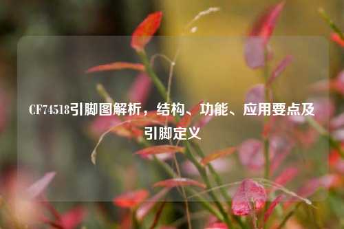 CF74518引脚图解析,结构、功能、应用要点及引脚定义