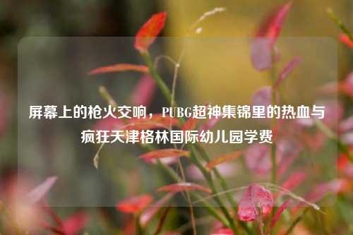 屏幕上的枪火交响,PUBG超神集锦里的热血与疯狂天津格林国际幼儿园学费