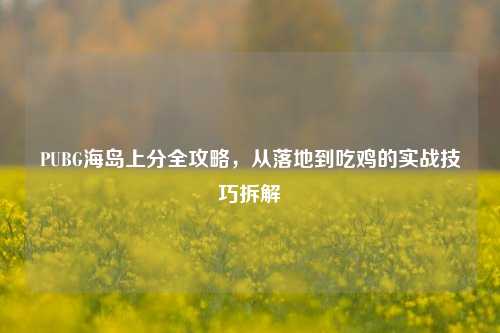 PUBG海岛上分全攻略,从落地到吃鸡的实战技巧拆解