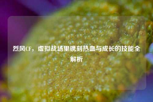 烈风CF,虚拟战场里镌刻热血与成长的技能全解析