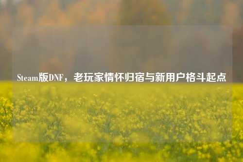 Steam版DNF,老玩家情怀归宿与新用户格斗起点