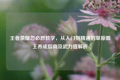 王者荣耀忽必烈教学,从入门到精通的草原霸主养成指南及武力值解析