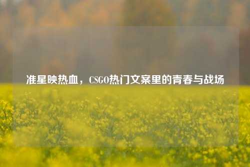 准星映热血,CSGO热门文案里的青春与战场