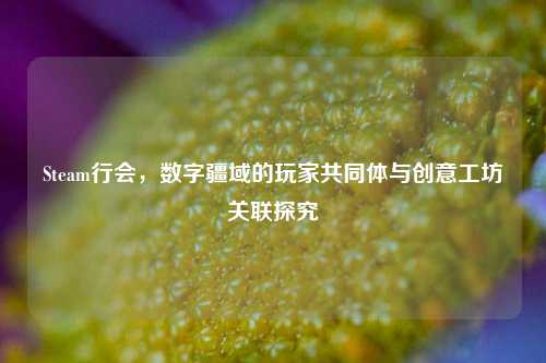 Steam行会,数字疆域的玩家共同体与创意工坊关联探究