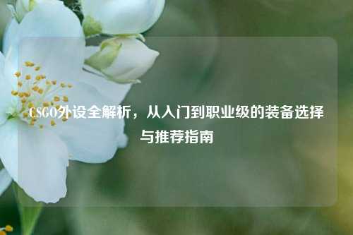 CSGO外设全解析,从入门到职业级的装备选择与推荐指南