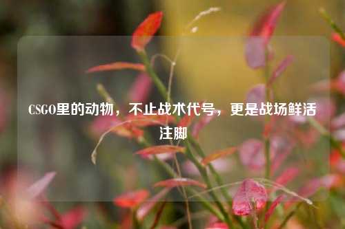 CSGO里的动物,不止战术代号,更是战场鲜活注脚
