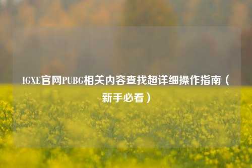 IGXE官网PUBG相关内容查找超详细操作指南(新手必看)