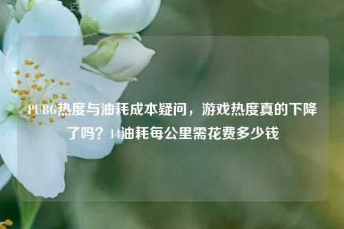 PUBG热度与油耗成本疑问,游戏热度真的下降了吗?14油耗每公里需花费多少钱